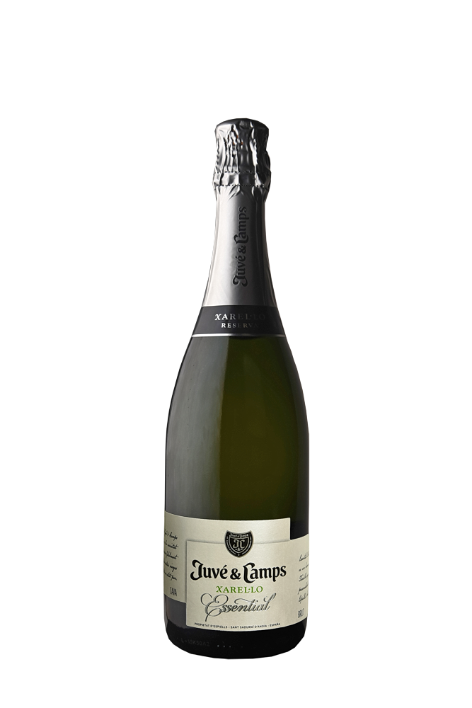 Juve & Camps Xarel.lo Reserva