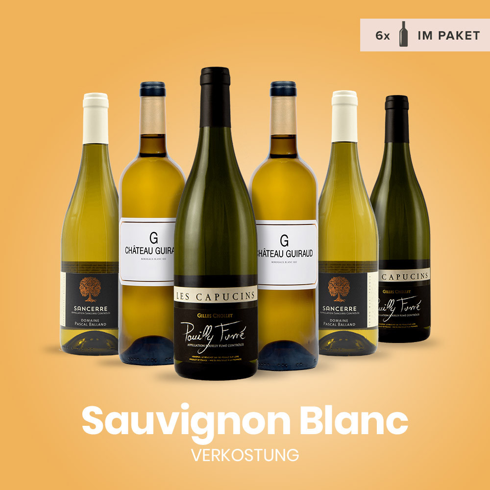 Verkostungspaket Sauvignon Blanc
