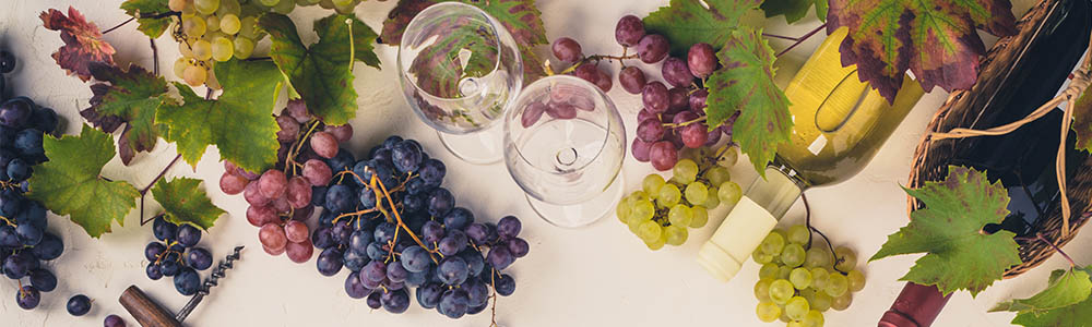 weine aus jumilla