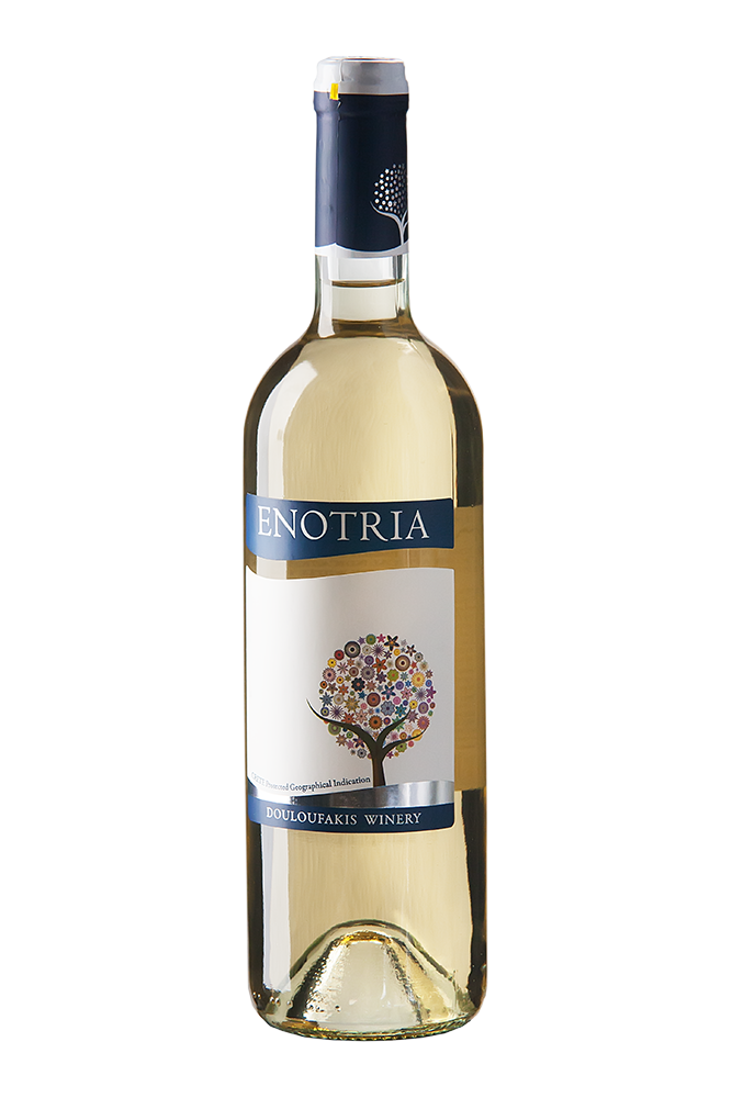 Enotria blanco