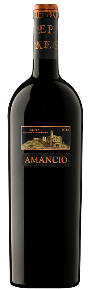 Amancio 2013