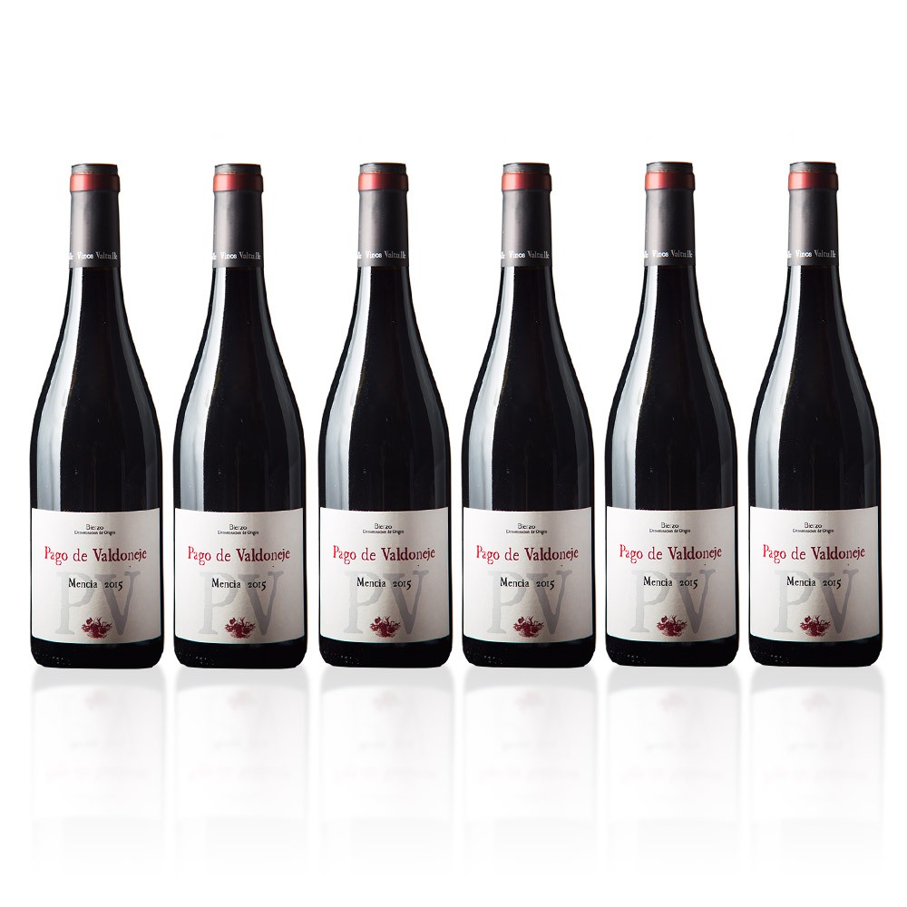 Pago de Valdoneje Tinto - 6 Flaschen