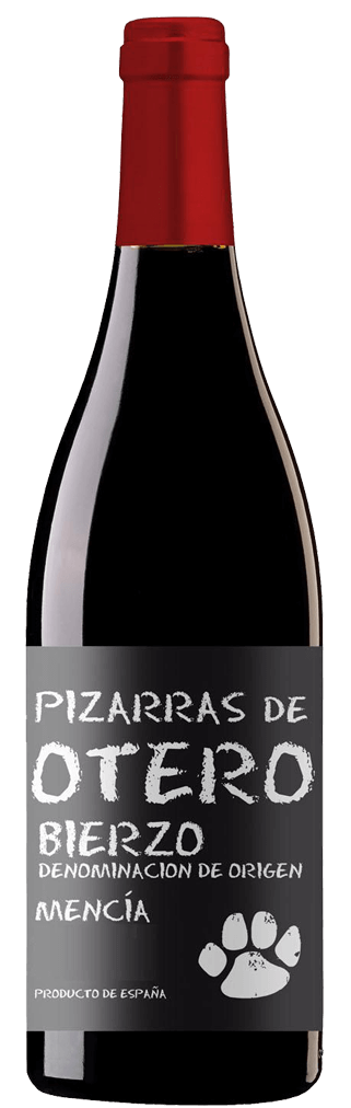 Martin Codax Mencía Pizarras de Otero Bierzo Flasche