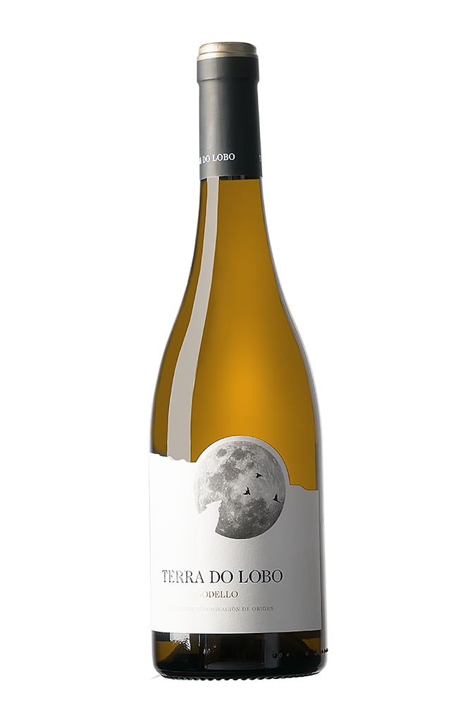Terra do Lobo Blanco
