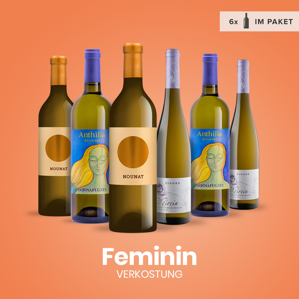 Verkostungspaket Feminin