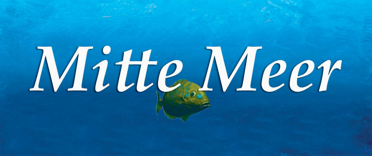 Mitte Meer
