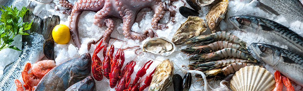 Meeresfrüchte und Fisch online kaufen