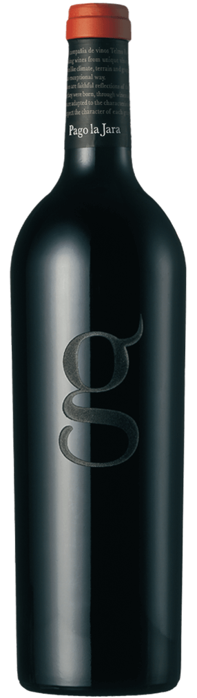Telmo Rodriguez Pago la Jara Flasche
