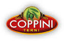 Coppini