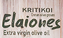 Kritikoi